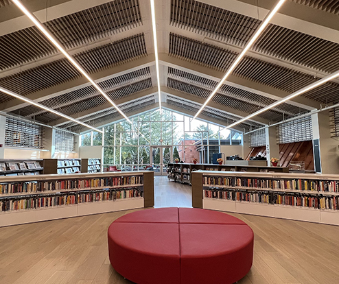 Roblox  York Public Library
